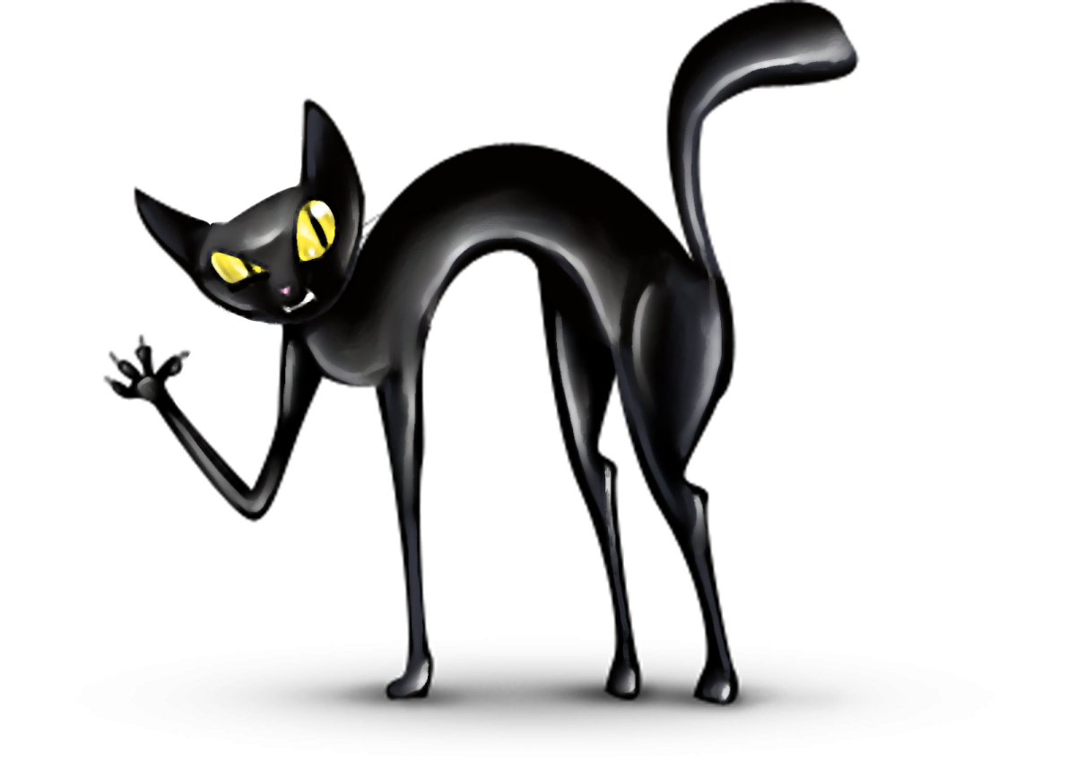 Тощий чёрный кот