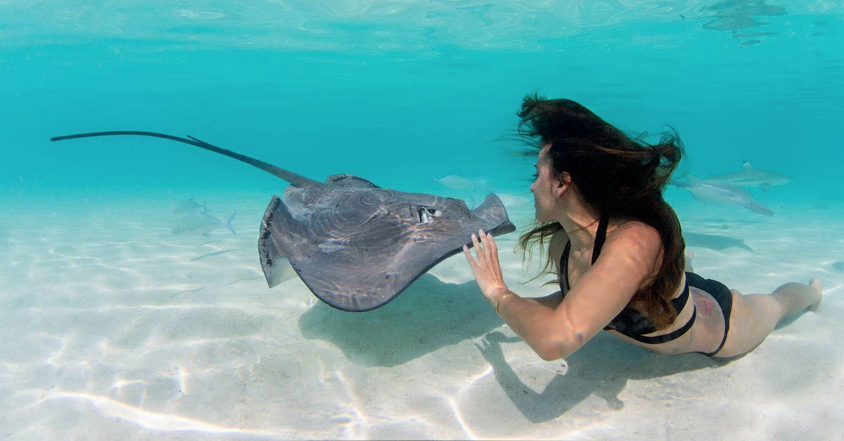 Поплавать со скатами