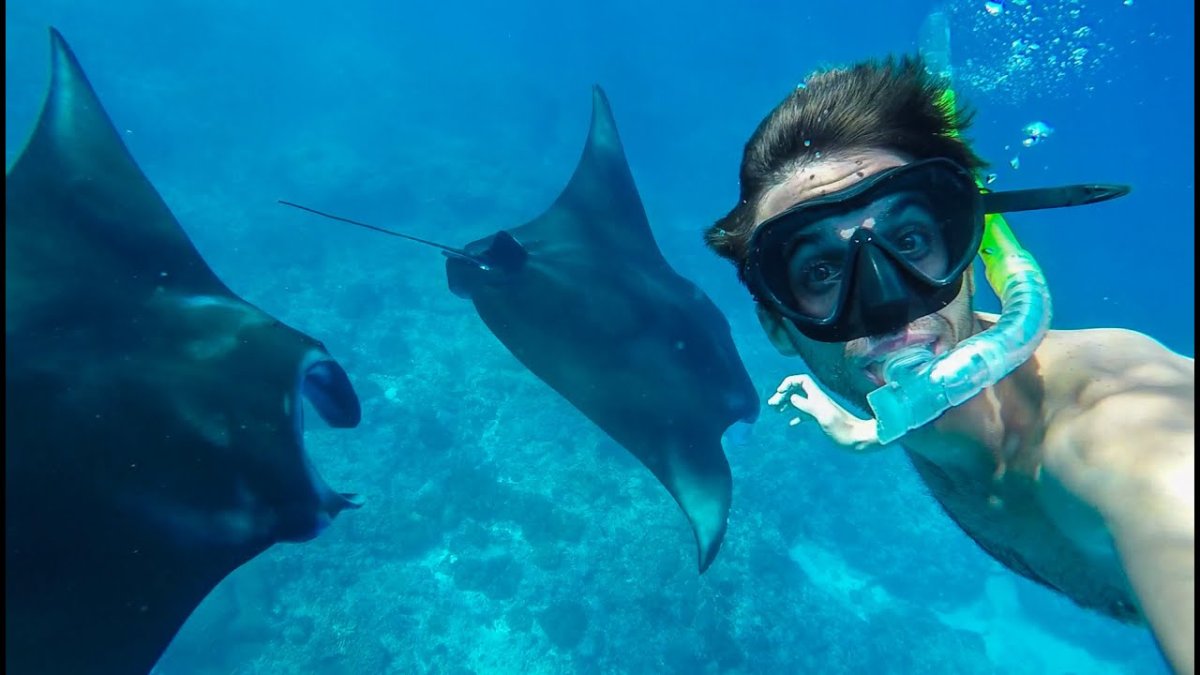 Нуса Пенида манты Бали