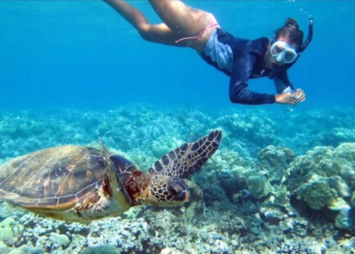 Снорклинг на Занзибаре