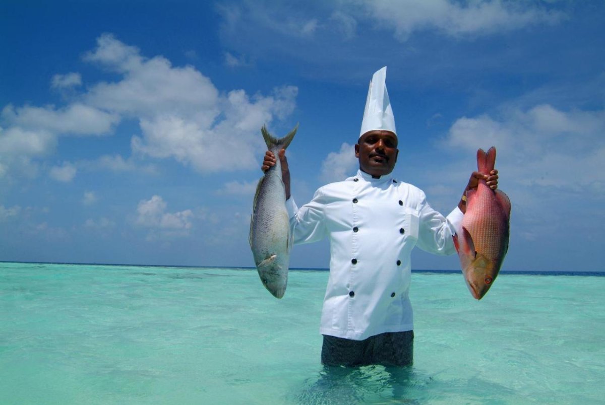 Звери на Мальдивах