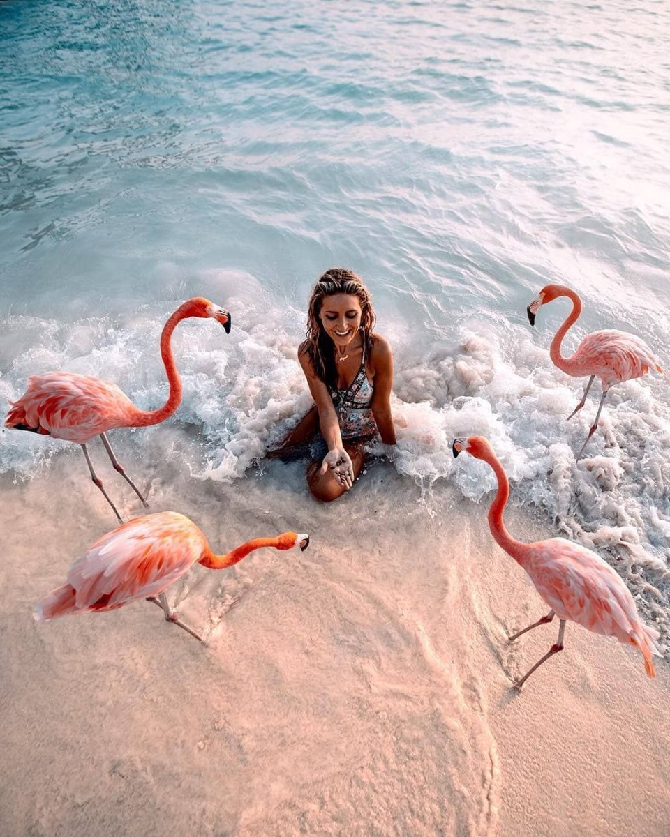 Кайо Коко Фламинго