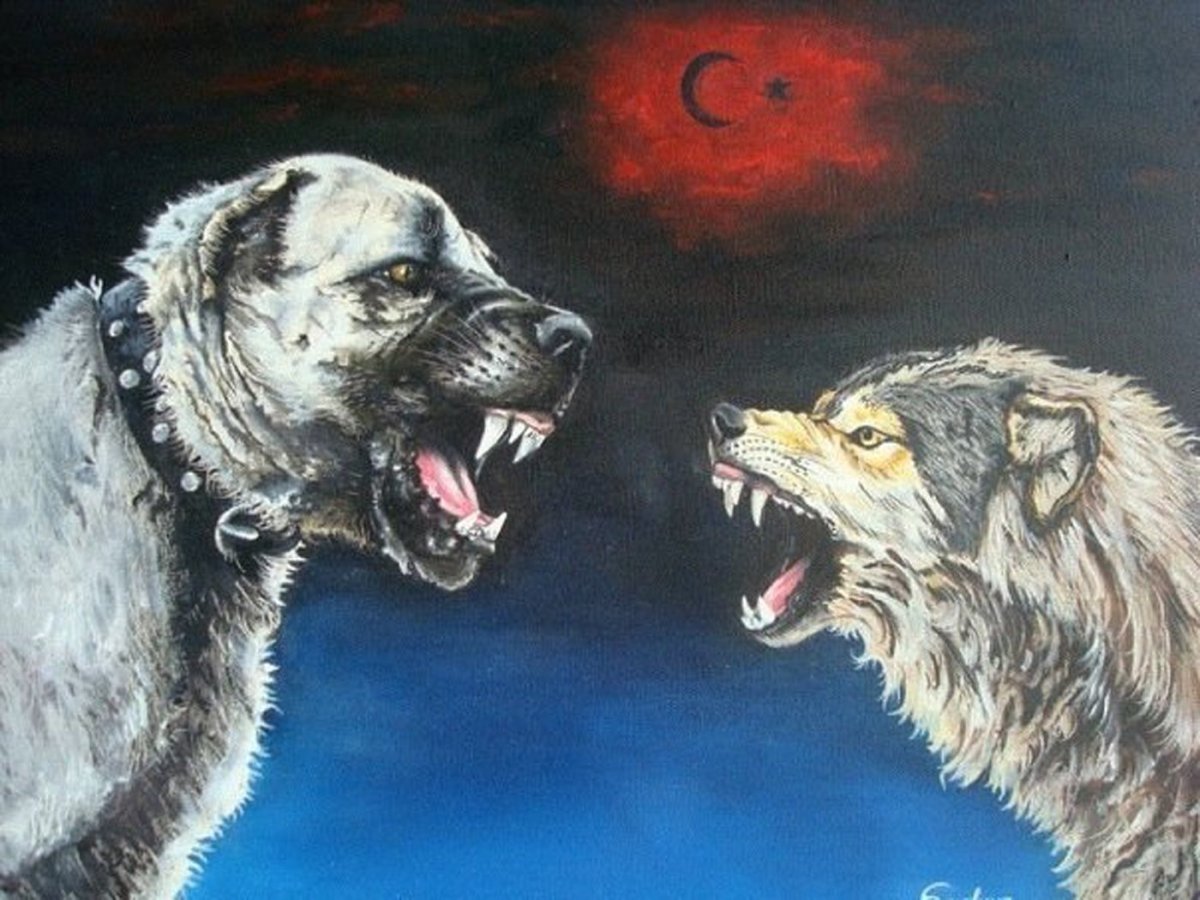 Алабай питомник Северного Урала