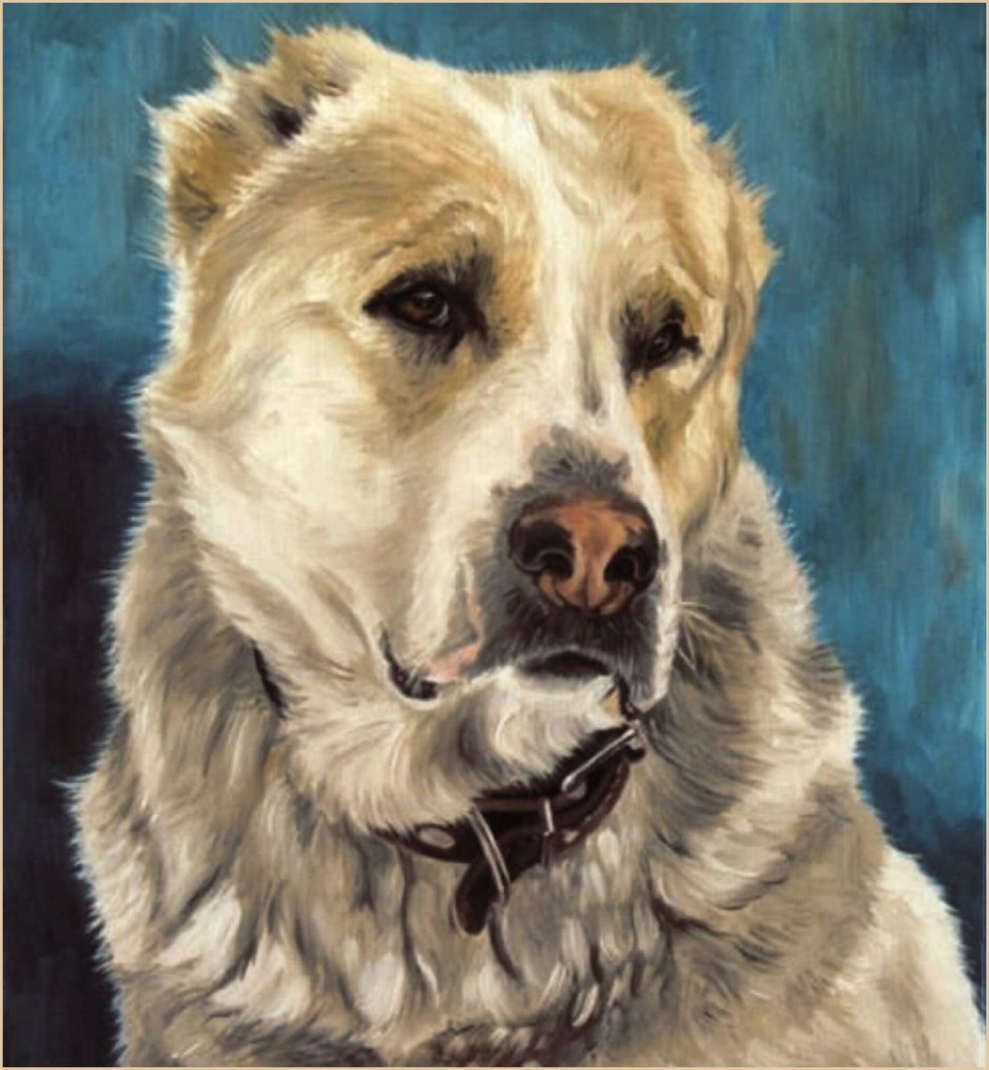 Салюки референс