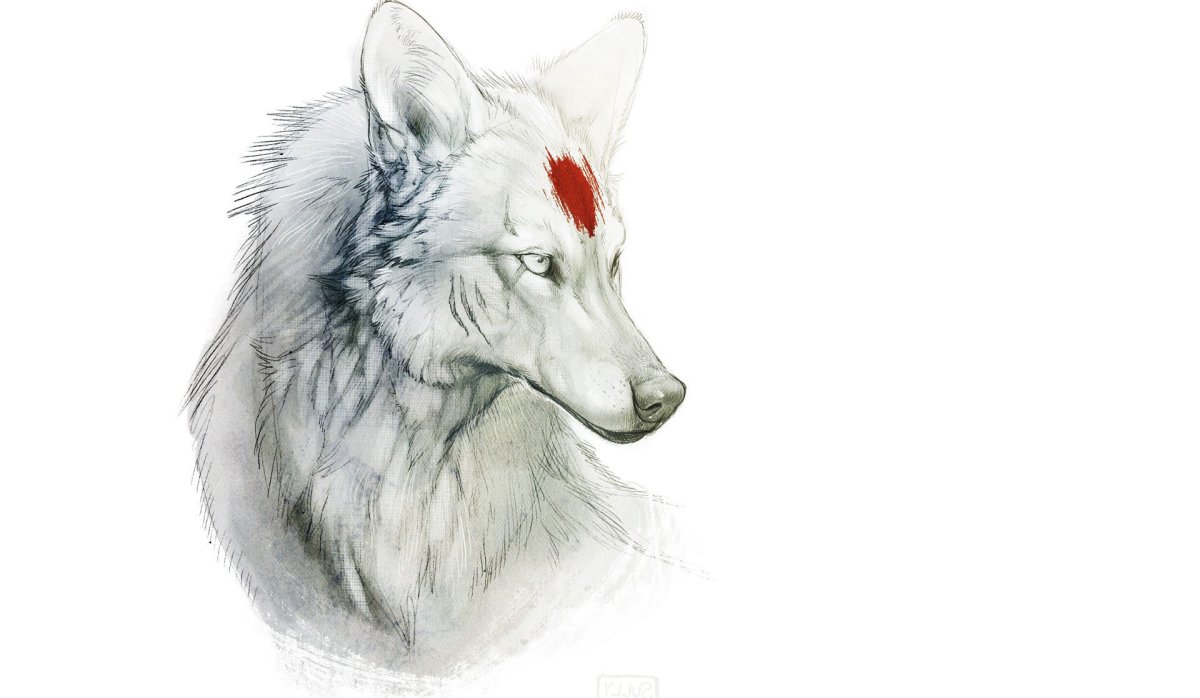 Турецкий волкодав кангал