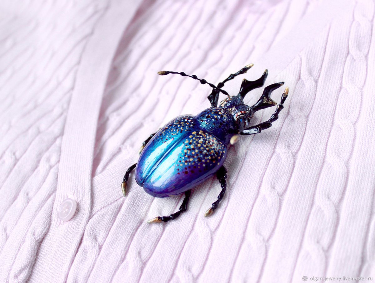 Насекомые с голубыми крылышками