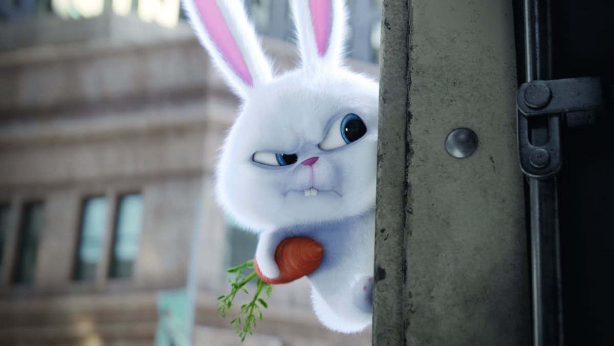 Зайчик плачет