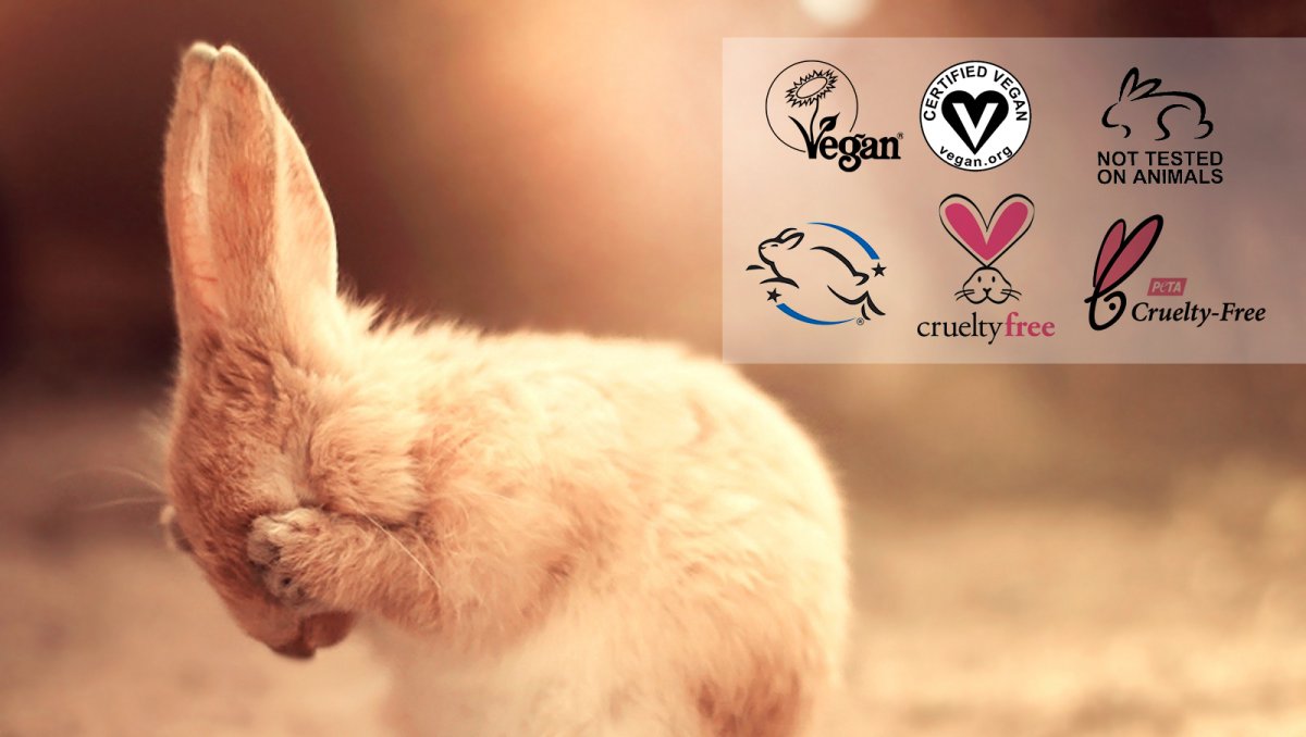 Печальный Зайка