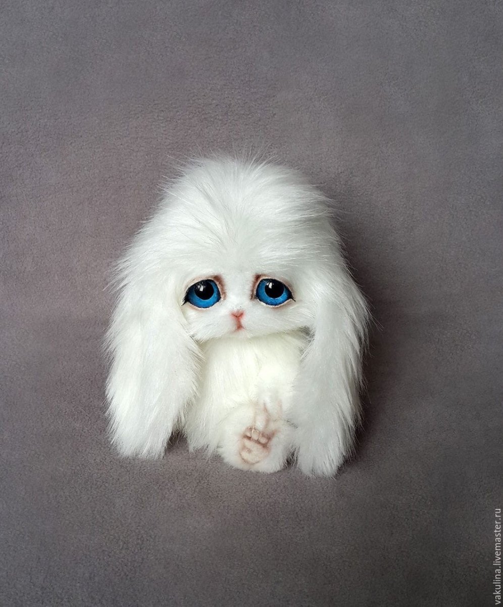 Радостный кролик