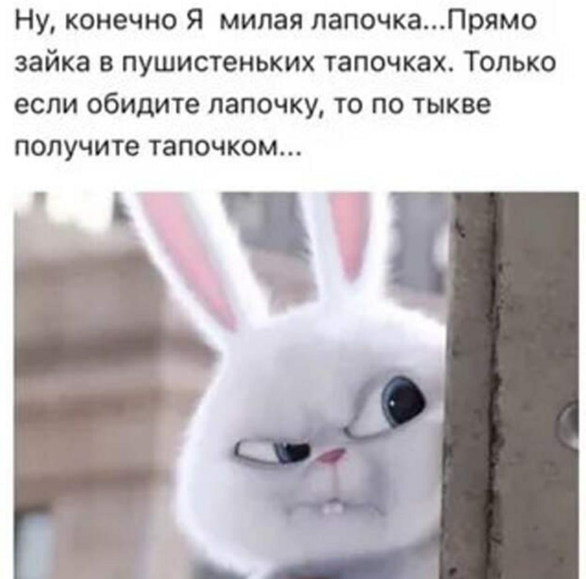 Зайка обиделась