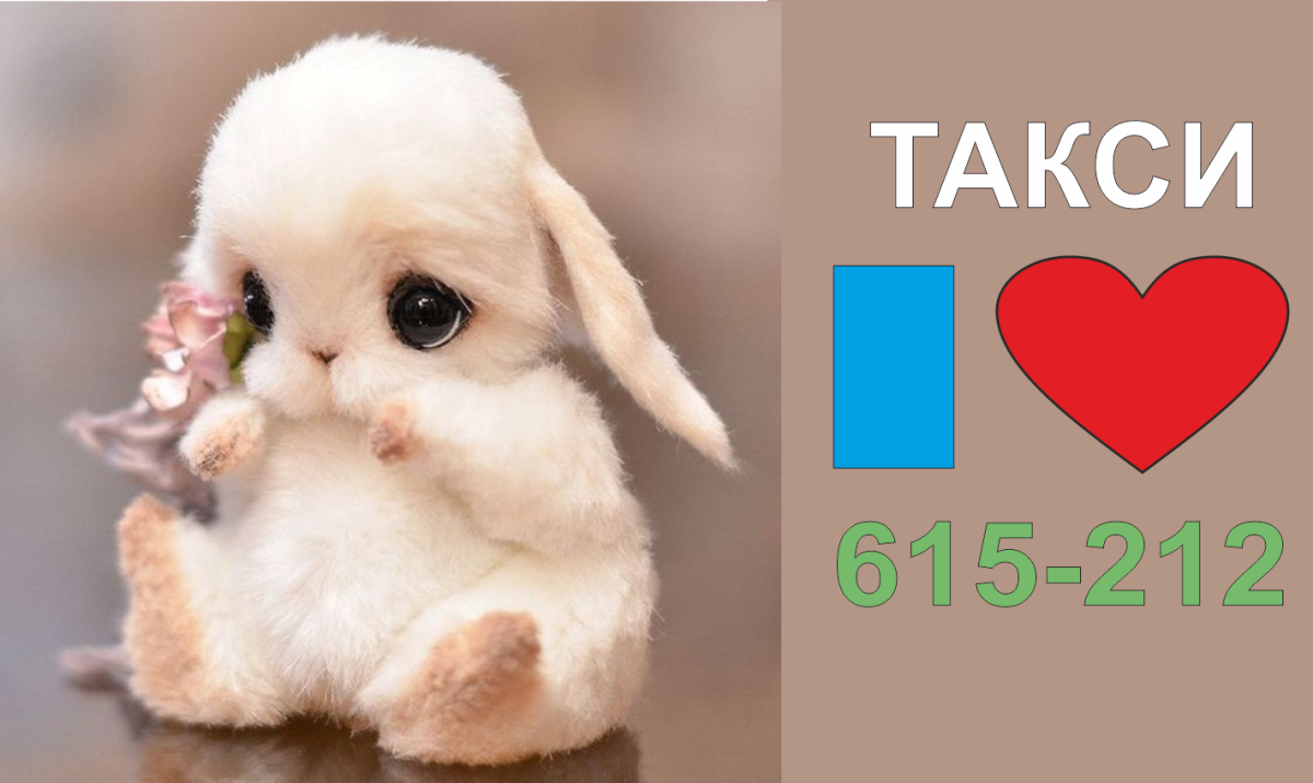 Миленький зайчик