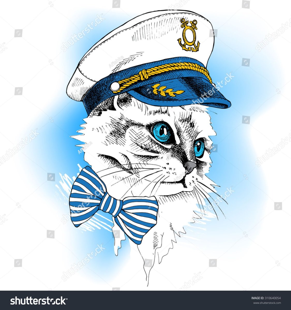 Кот десантник