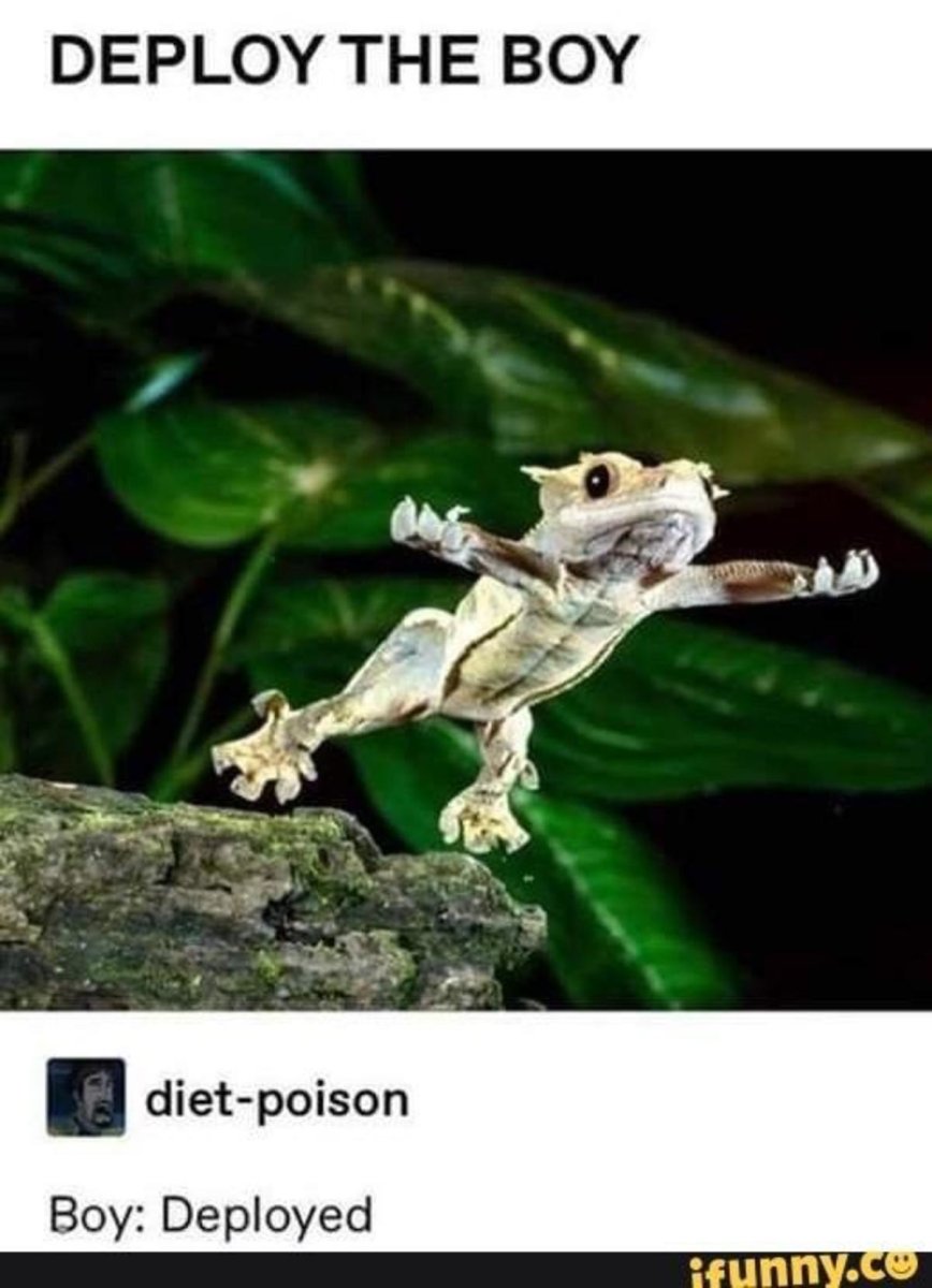 Прыгучая ящерица