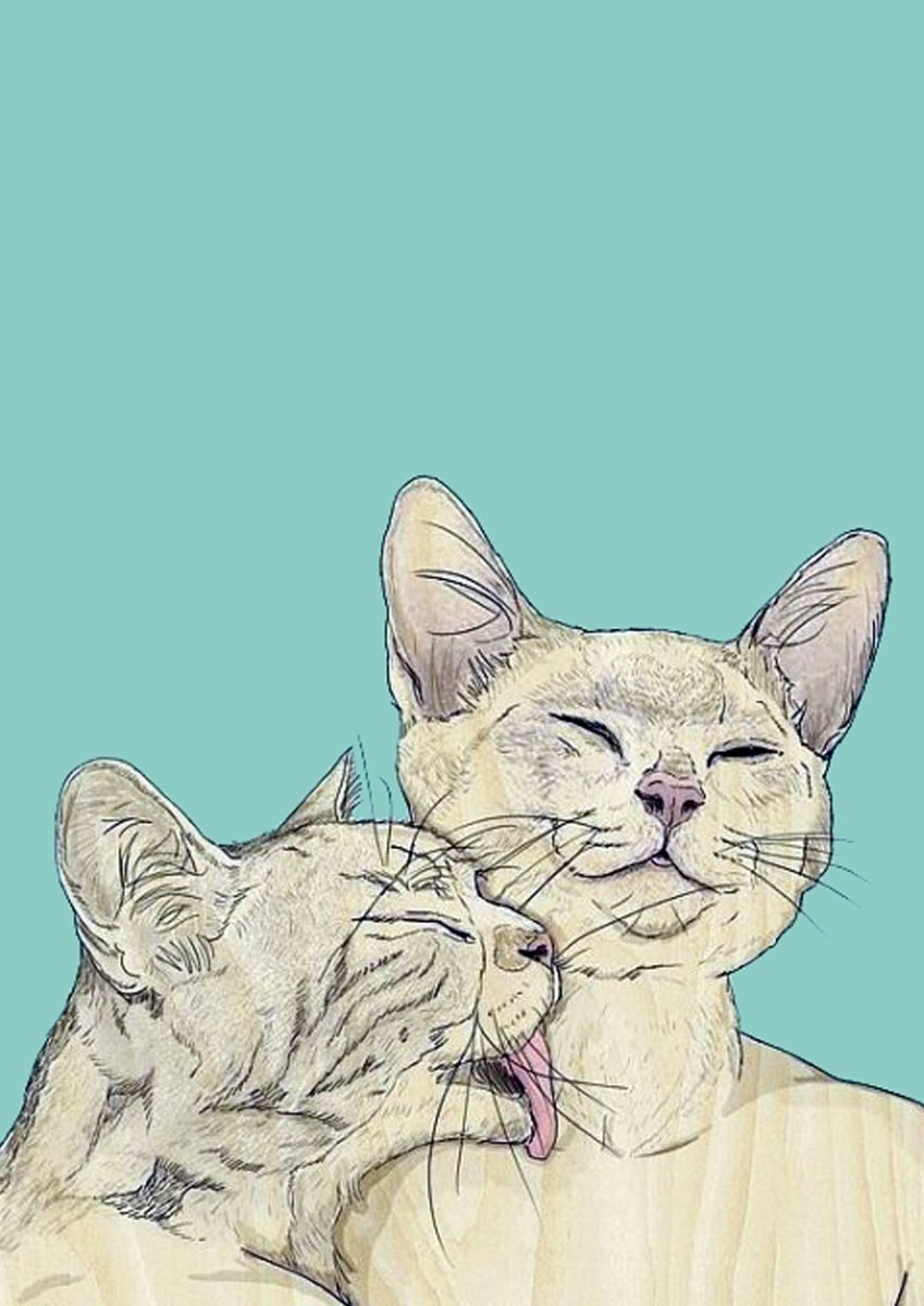 Котики любовь арт