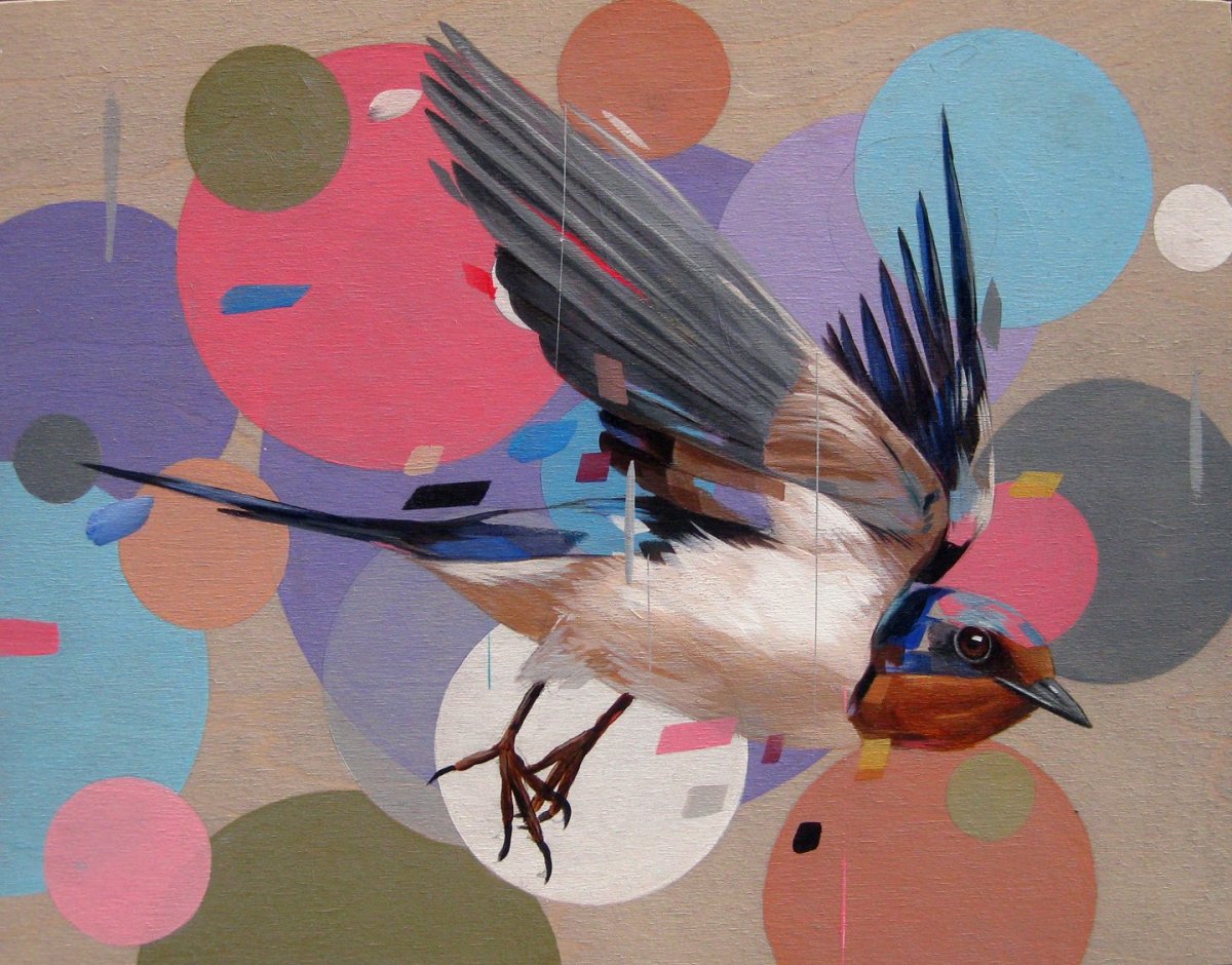 Амазонский мухоед