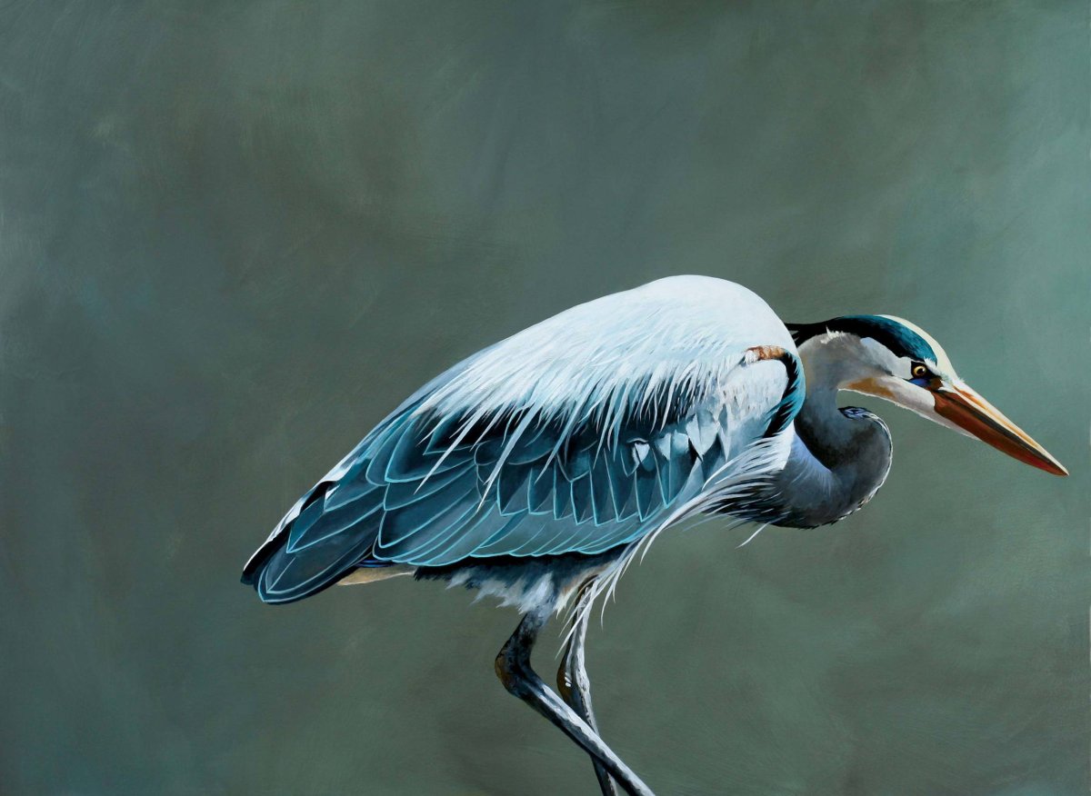 Голубая Райская птица