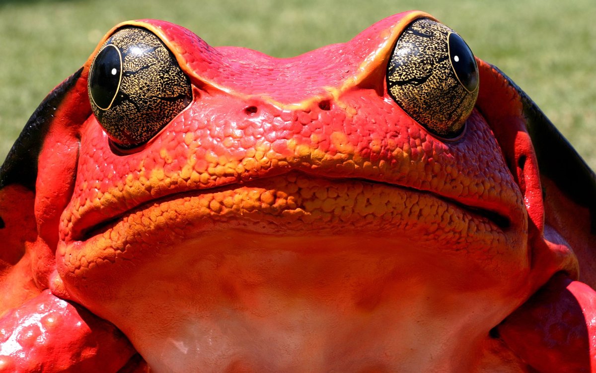 Открытка я в отпуске