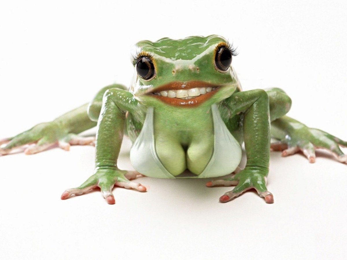 Баба лягушка