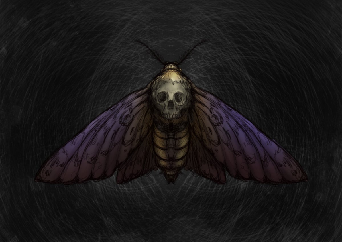 Насекомые под микроскопом