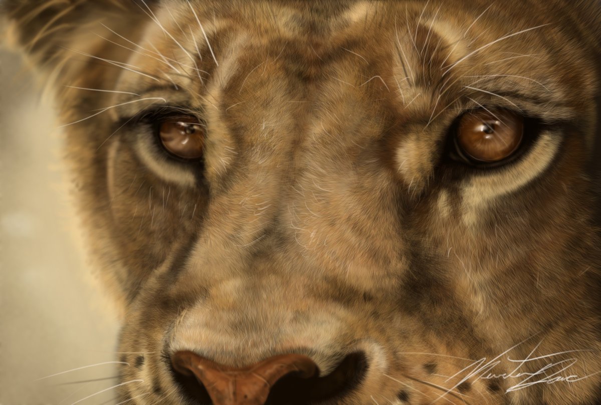 Грустные глаза Льва