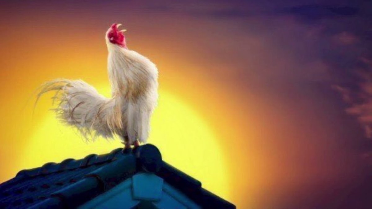 Кричащий петух старые изображения на крыше