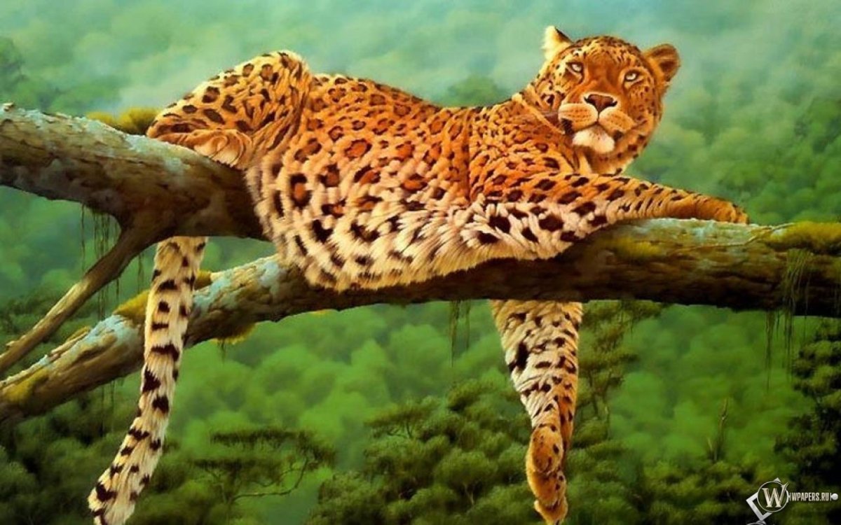 Гепард на ветке