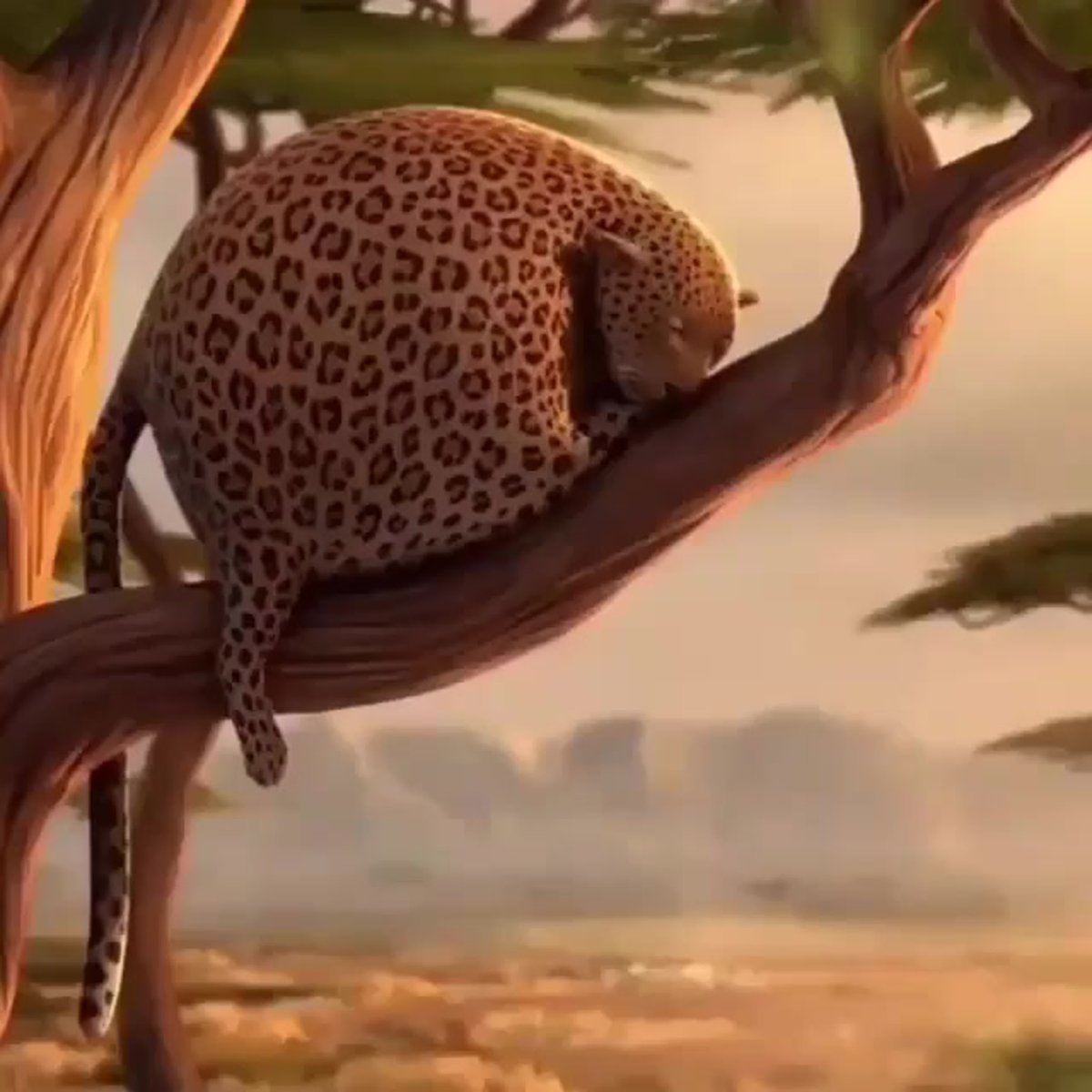 Круглые животные