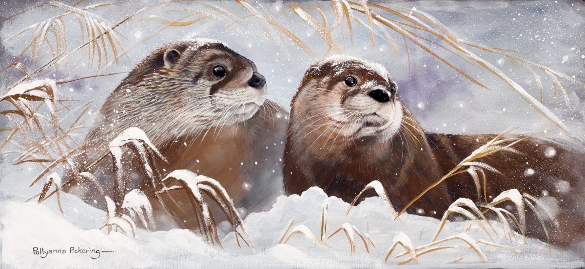 Алмазная мозаика выдры