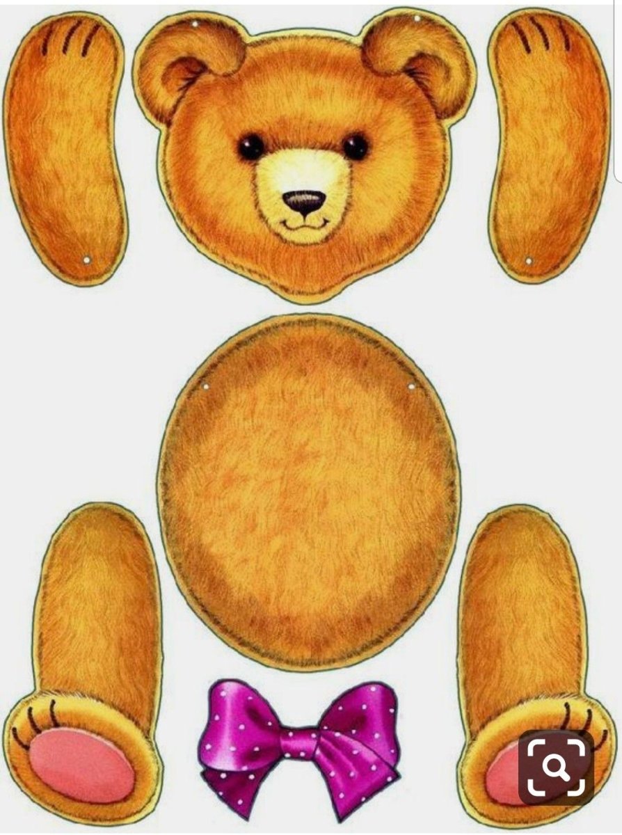 Бабочка Медведица Кайя ядовитая