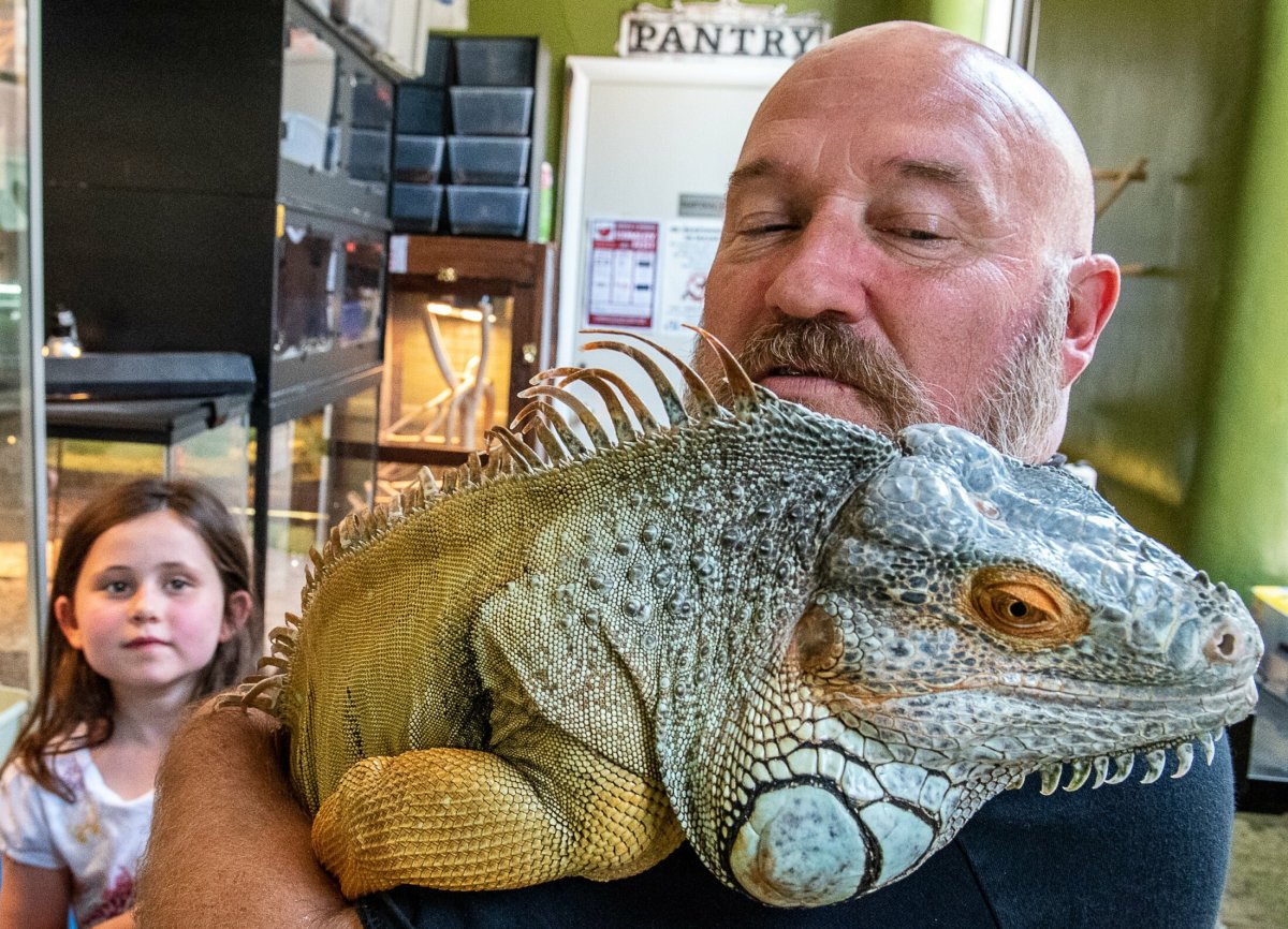Lucas man Iguana