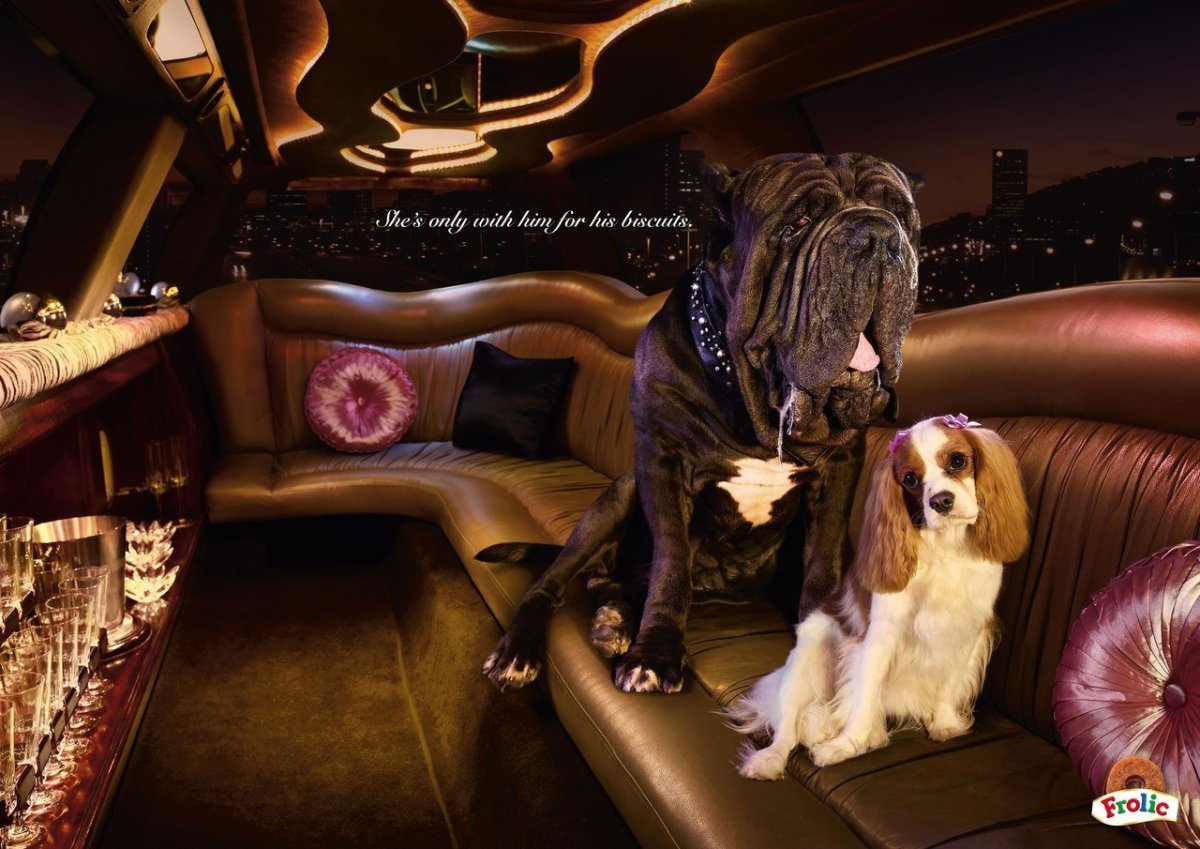 Креативная реклама корма для собак