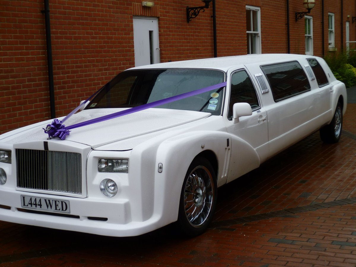 Щенок добермана Эстетика