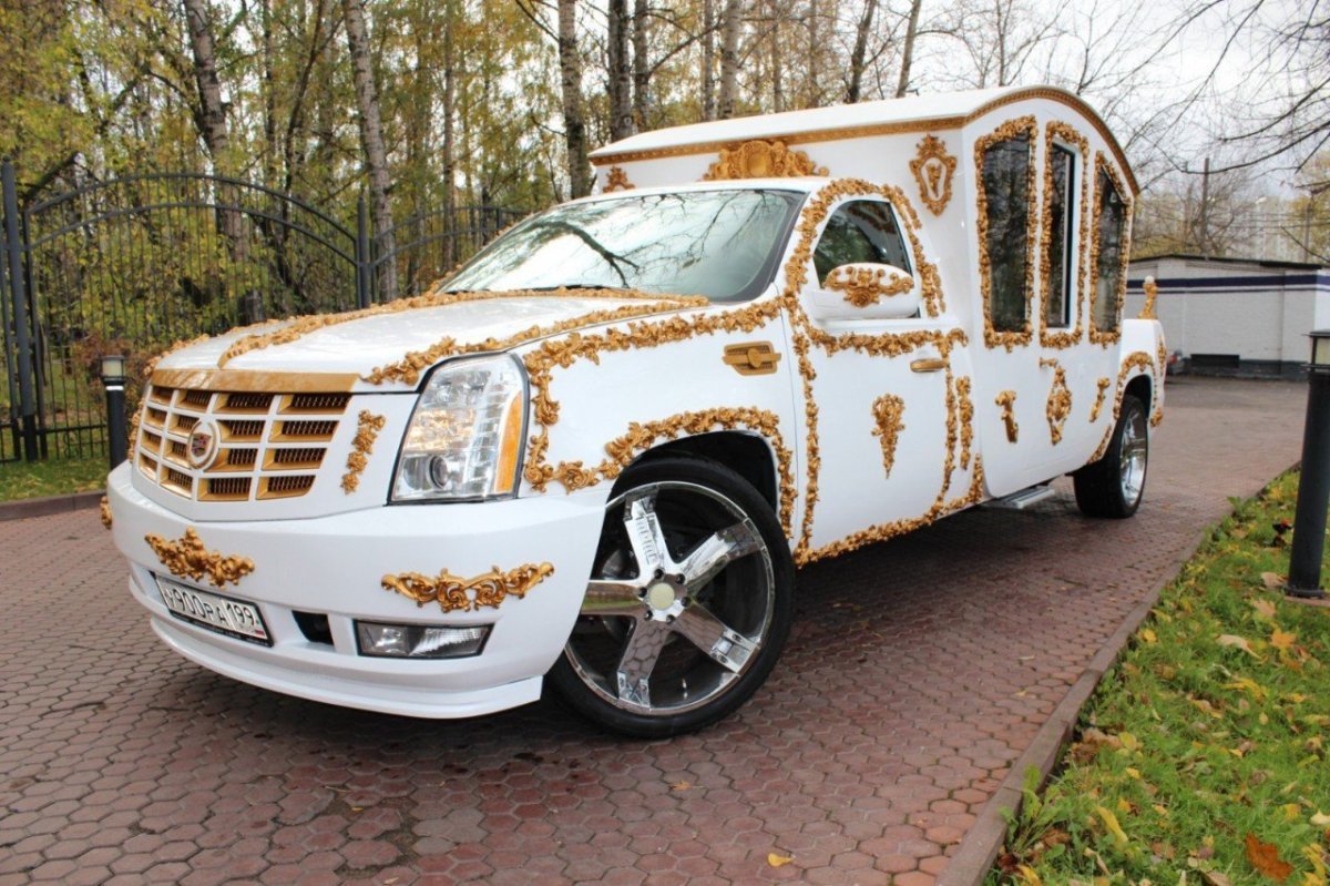 Бассет стойка выставка