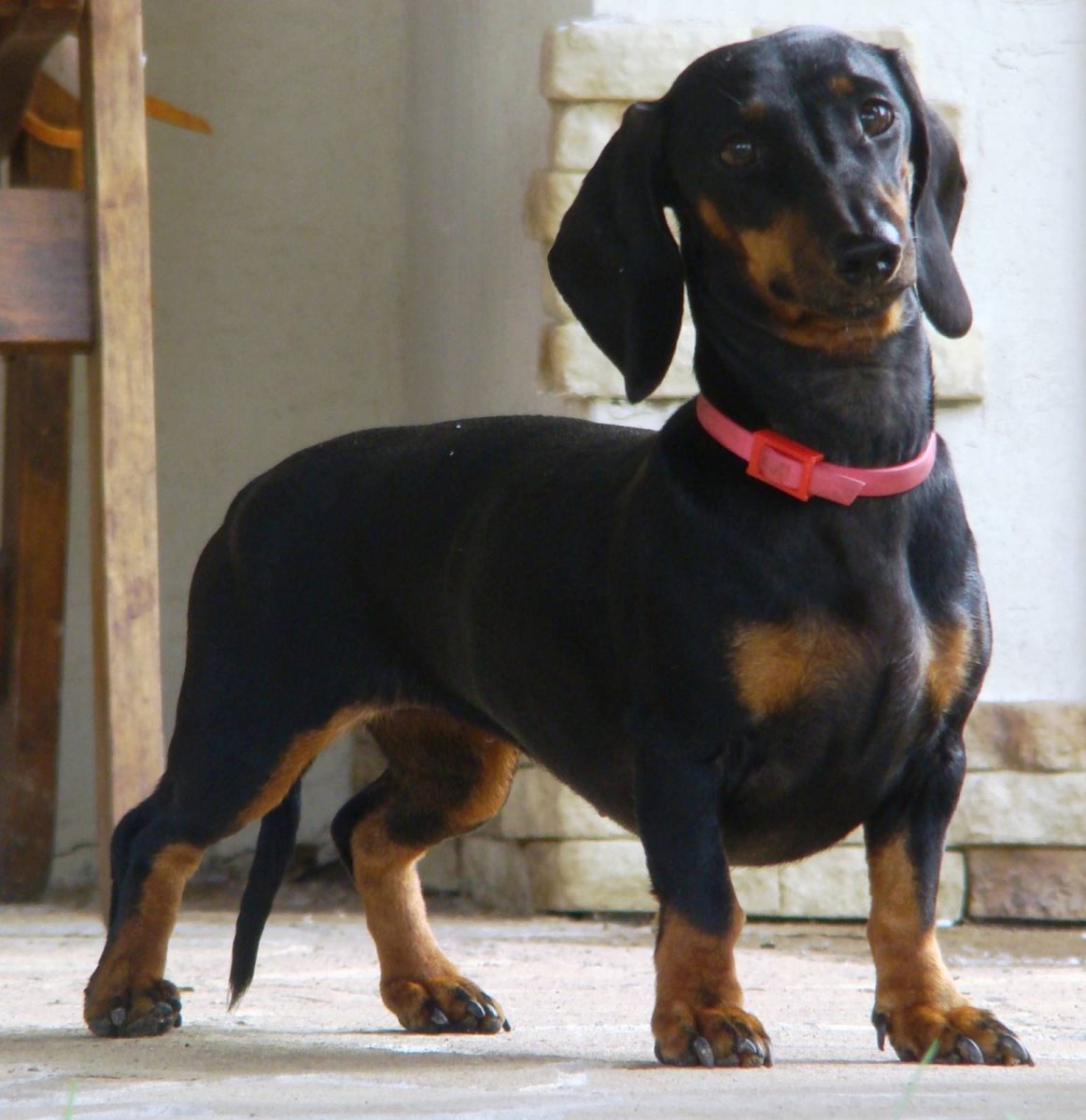 Роллс Ройс лимузин 2004