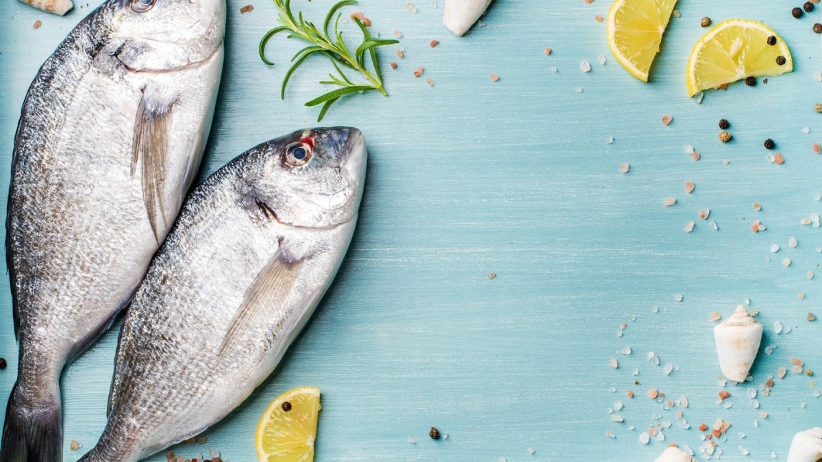 Луфарь океанический