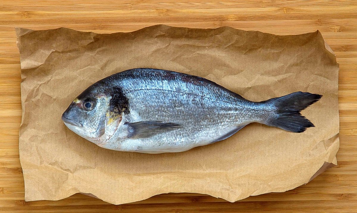 Обыкновенный Зубан