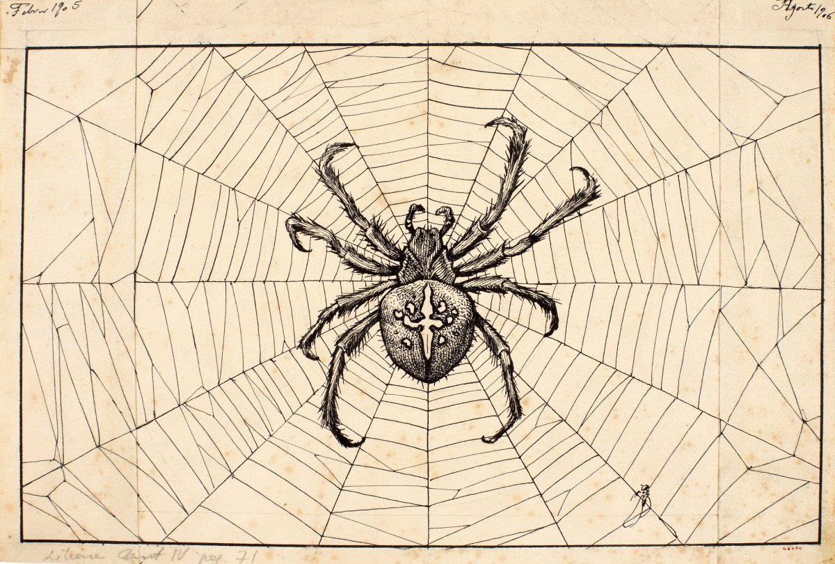 Садовый паук (Araneus diadematus