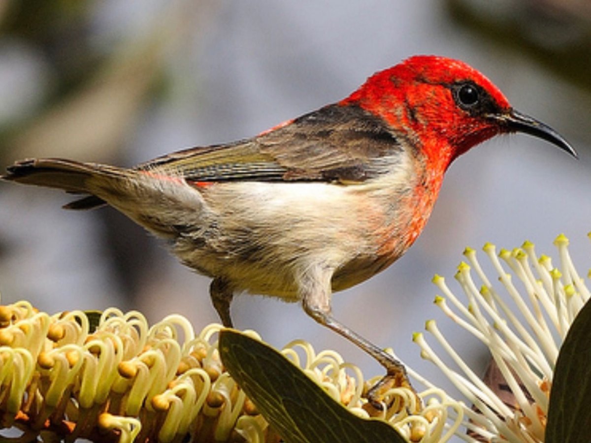 Красивый водопад и птицы