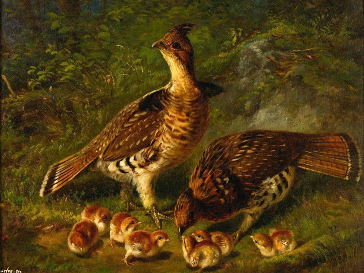 Arthur Fitzwilliam Tait (1819-1905 г.), "пара рябчиков с птенцами"