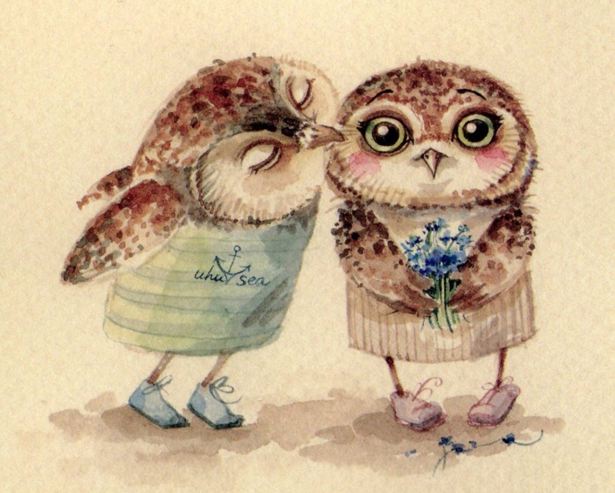 Влюбленные Совы