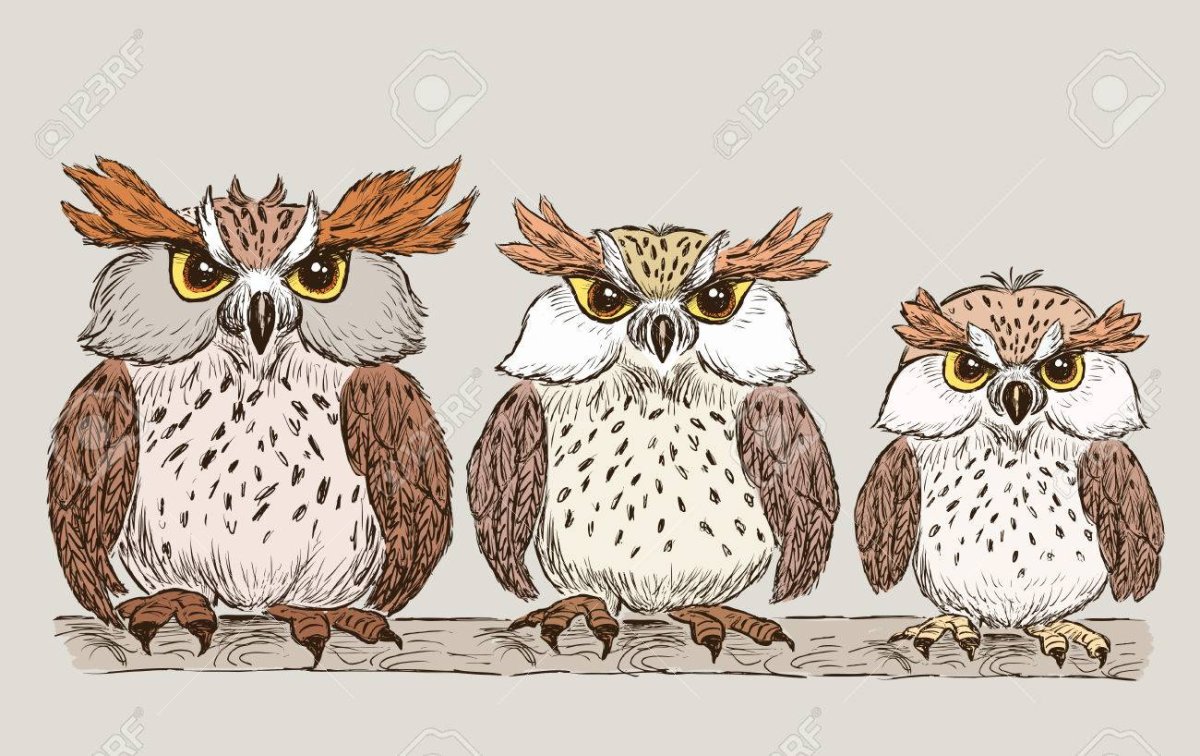 Две Совы арт на белом фоне