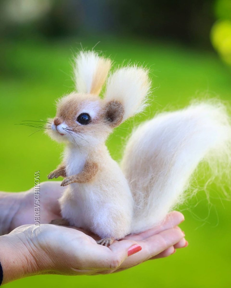 Маленькие бельчата