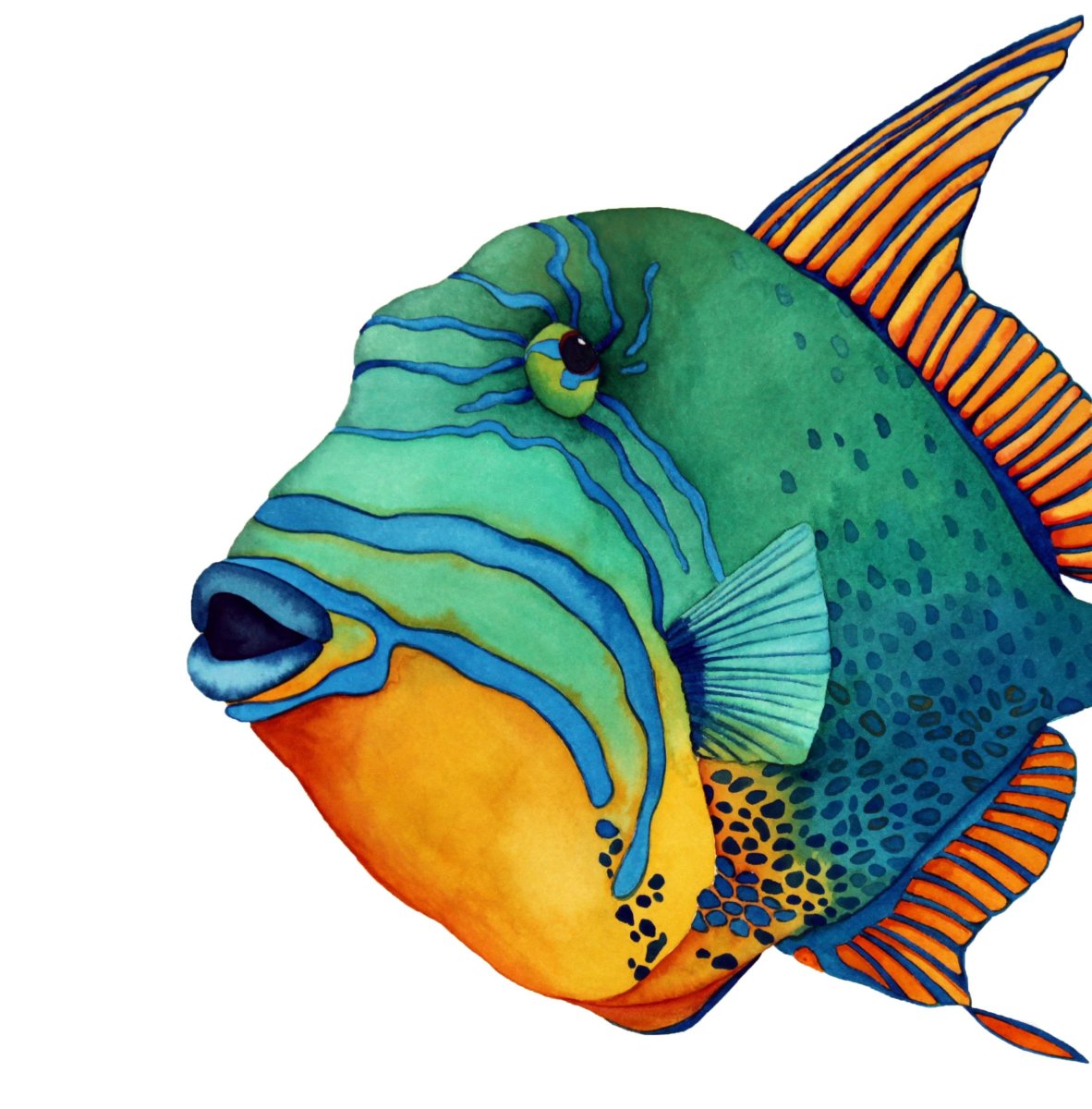 Красивые рыбки