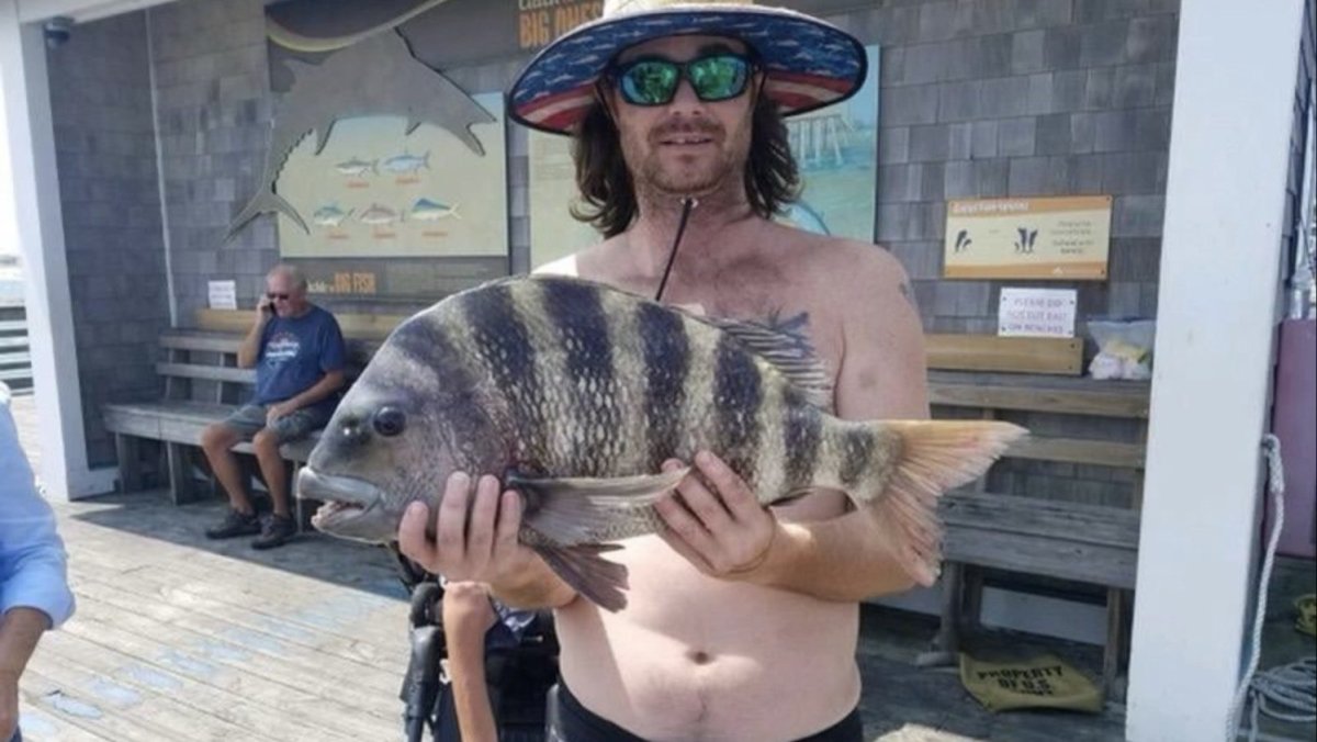 Рыба каторжник фото