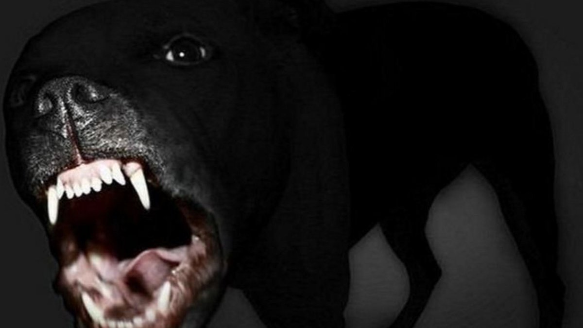 БМВ м5 пантера