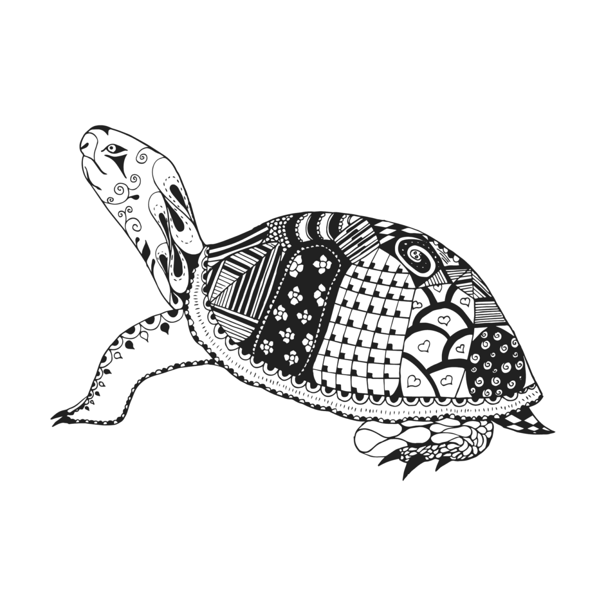 Черепаха графический рисунок
