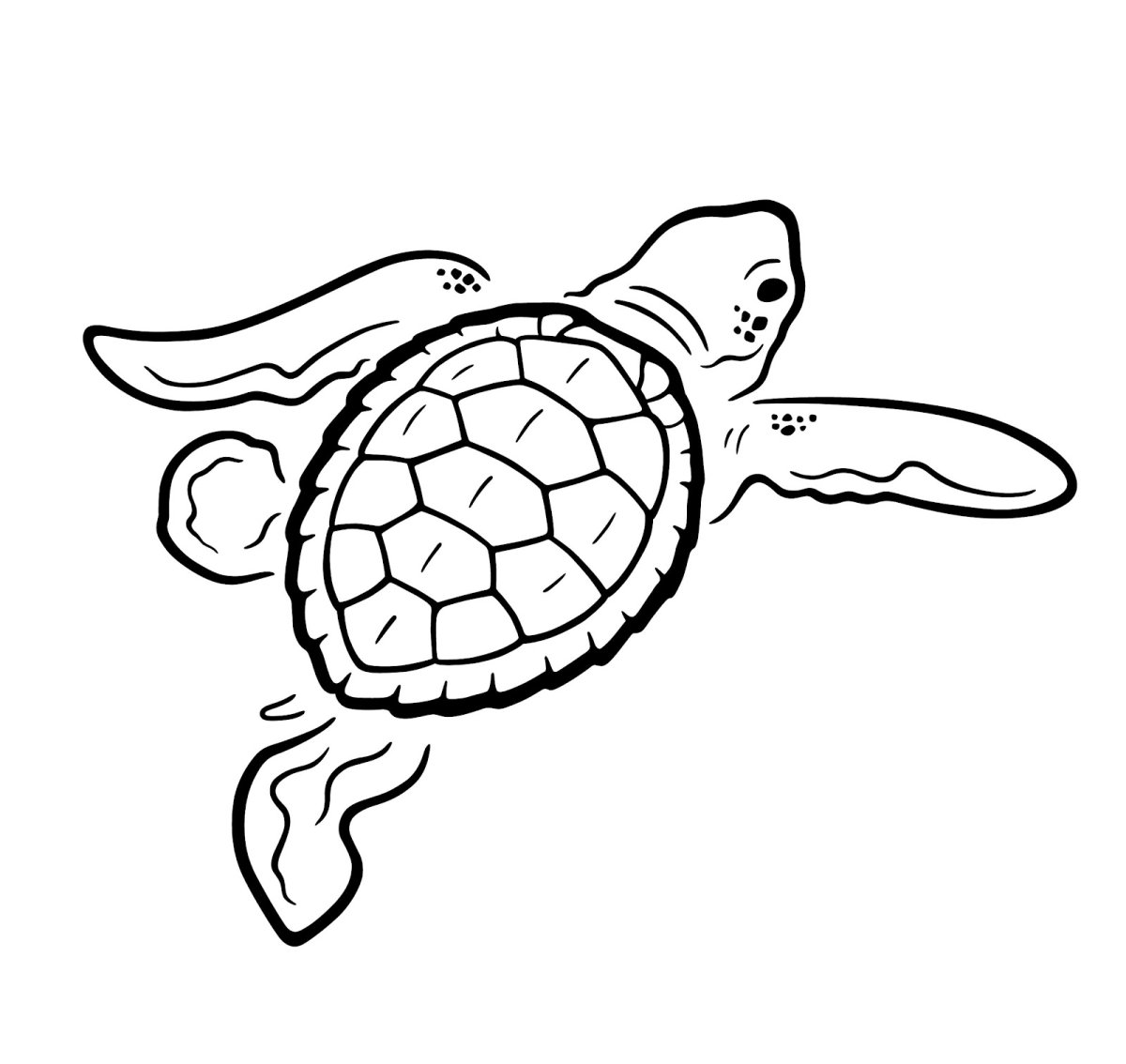 Черепаха эскиз для детей