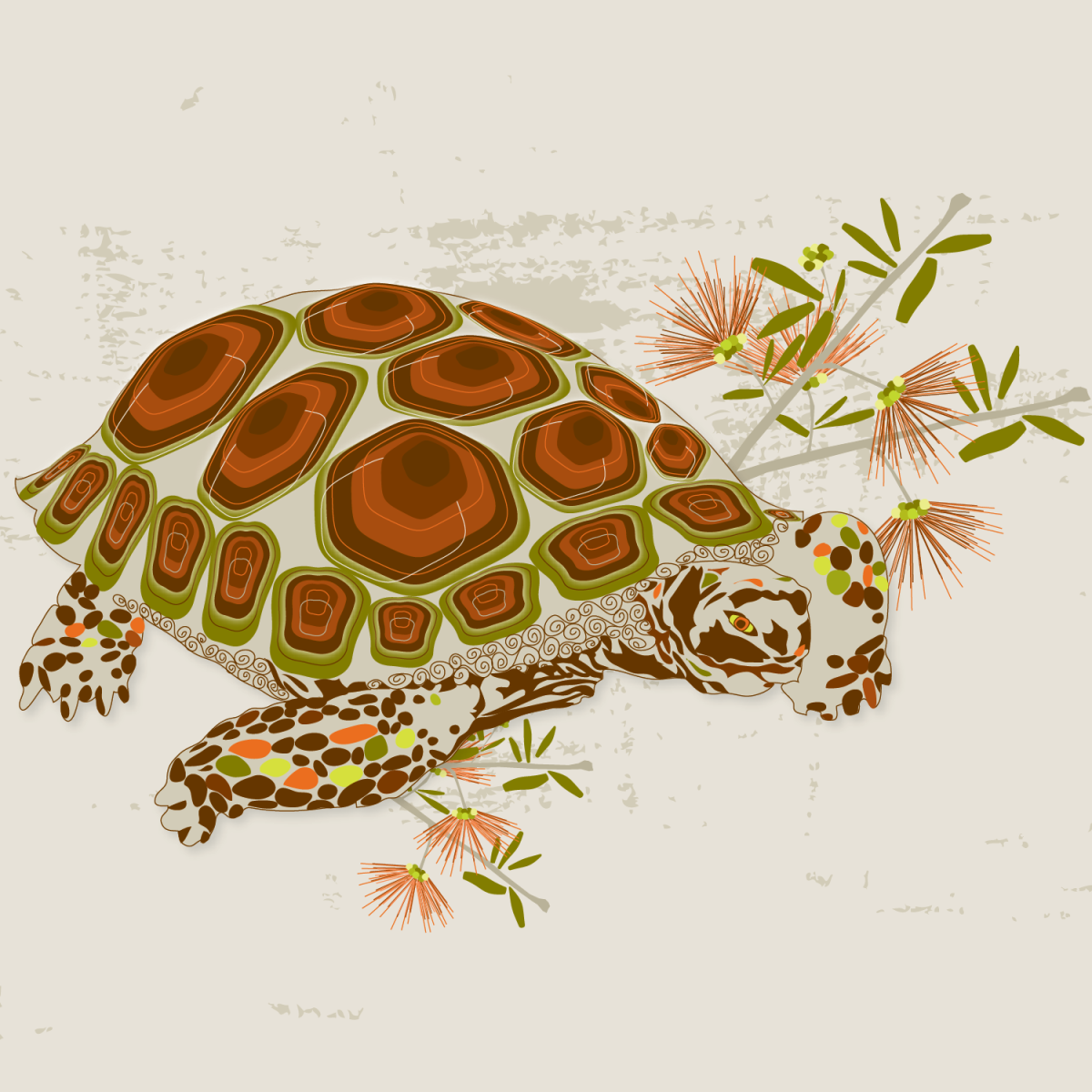 Картинки для декупажа черепаха