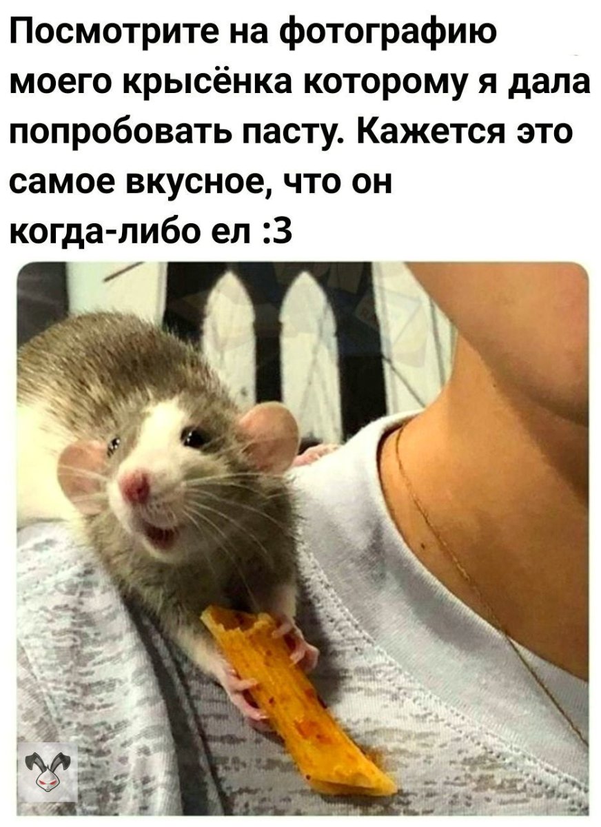 Смешные картинки