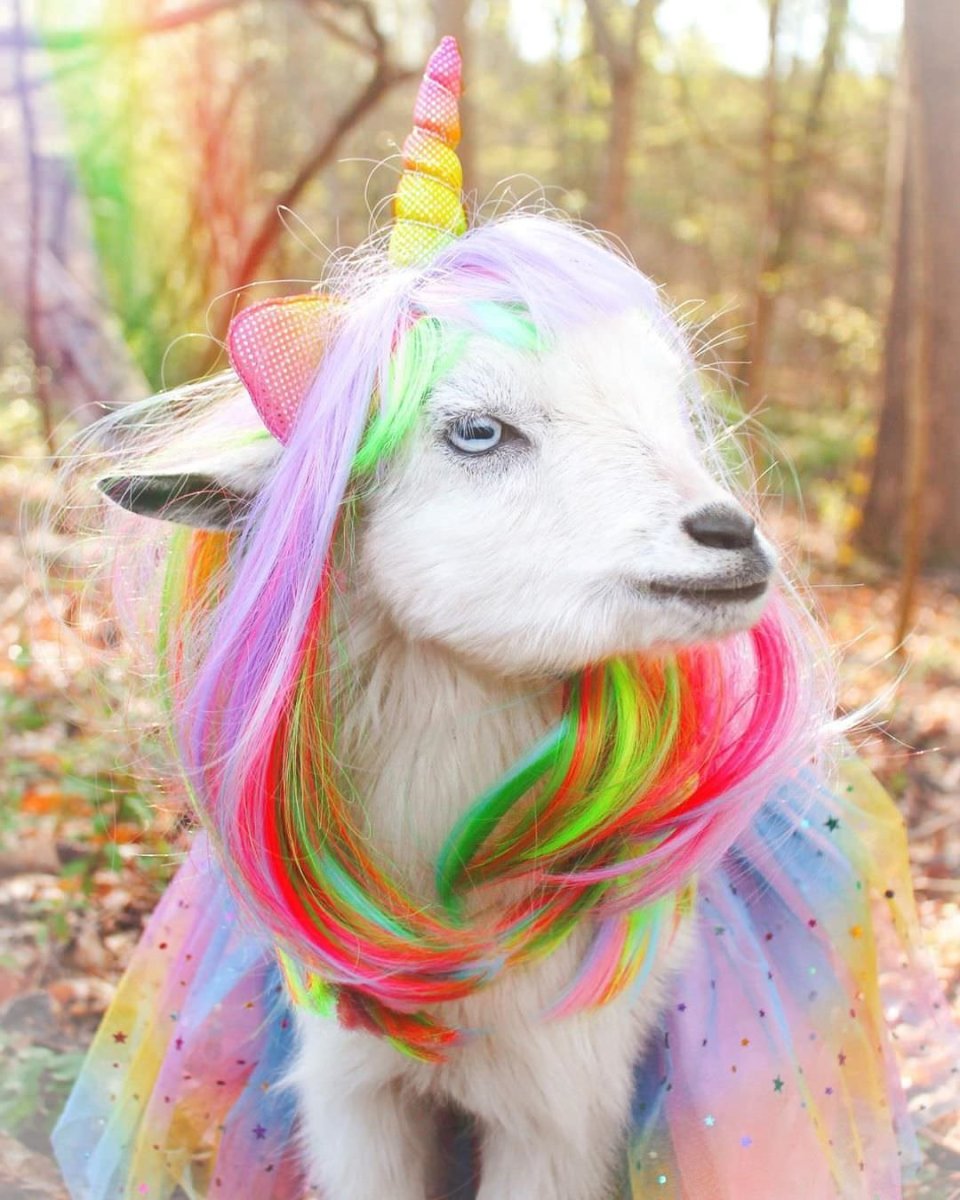 Необычные Единороги